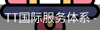 TT国际服务体系 - 网页版安全入口